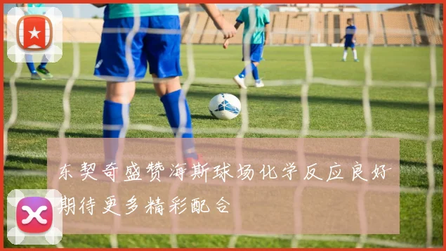 东契奇盛赞海斯球场化学反应良好期待更多精彩配合